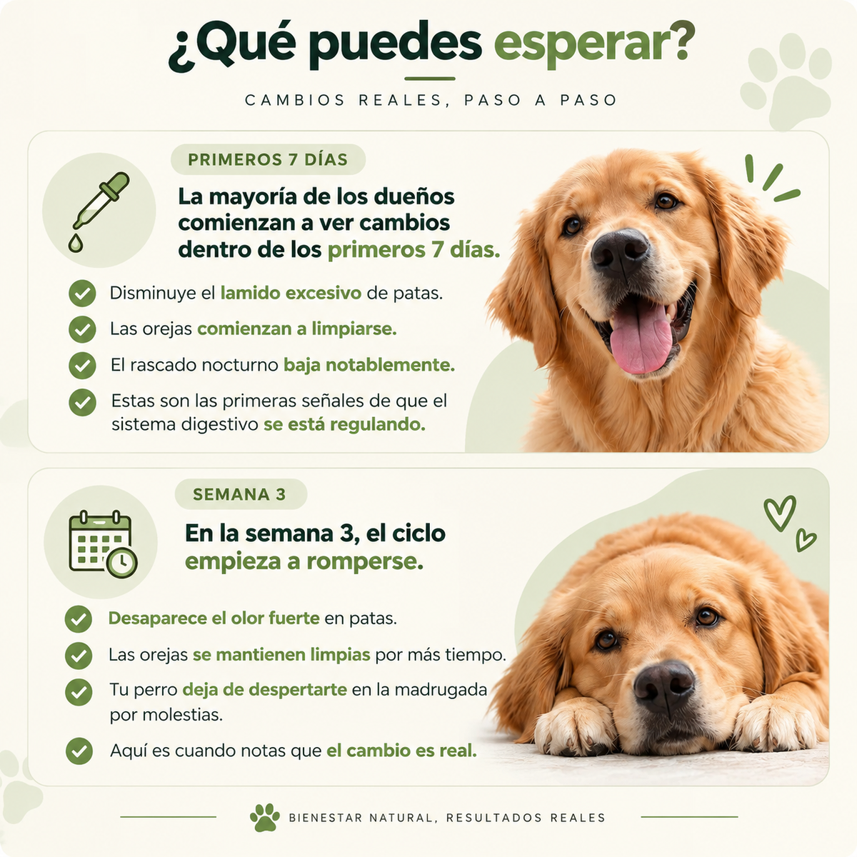 Dermiflora™ – Ayuda a controlar el hongo y a reducir la picazón desde el origen