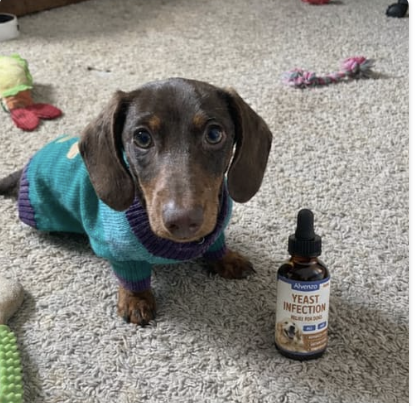 Lucrecia C. review image