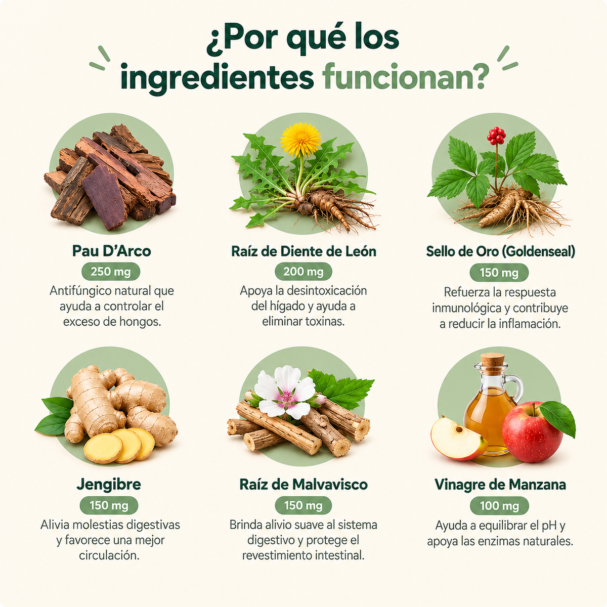 Dermiflora™ – Ayuda a controlar el hongo y a reducir la picazón desde el origen