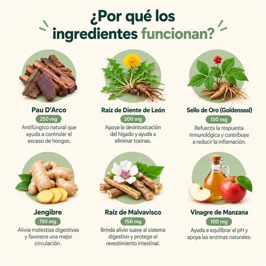 Dermiflora™ – Ayuda a controlar el hongo y a reducir la picazón desde el origen