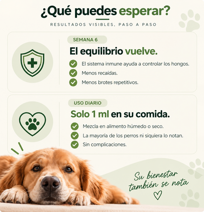 Dermiflora™ – Ayuda a controlar el hongo y a reducir la picazón desde el origen