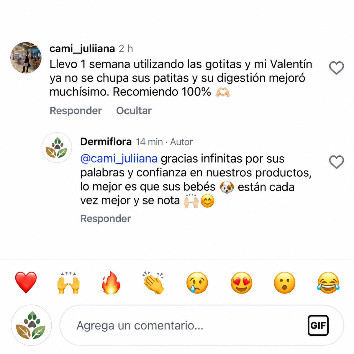 Dermiflora™ – Ayuda a controlar el hongo y a reducir la picazón desde el origen
